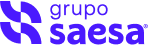 logo_saesa